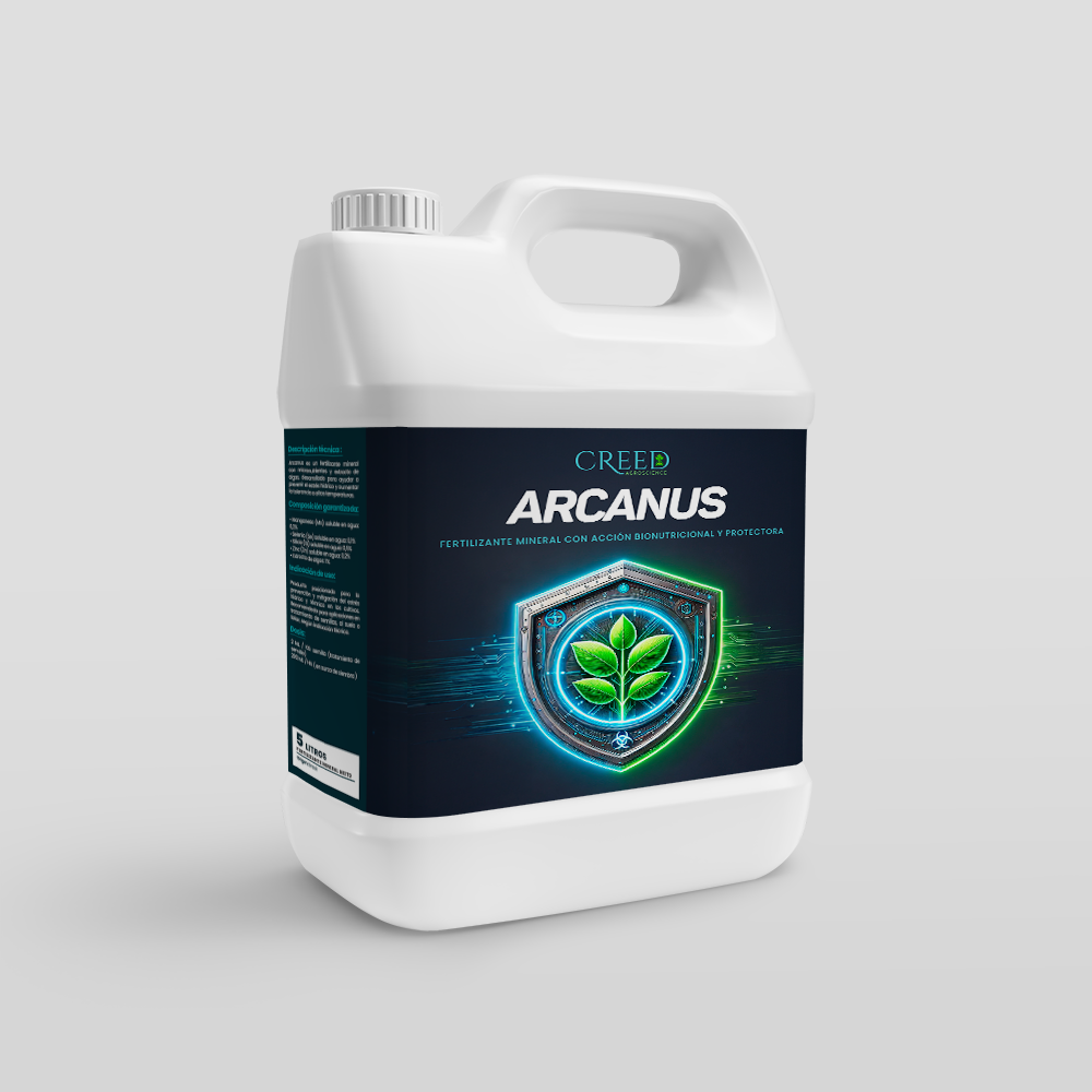 Creed – Frente Arcanus 2