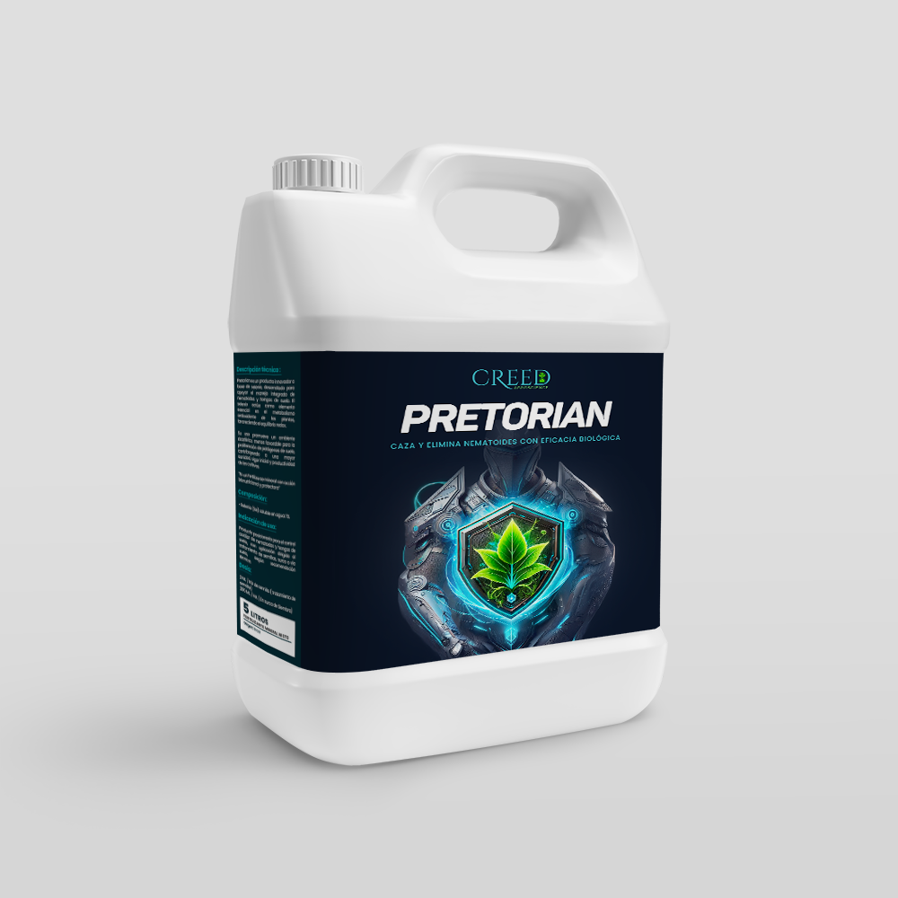 Creed – Frente Pretorian 2