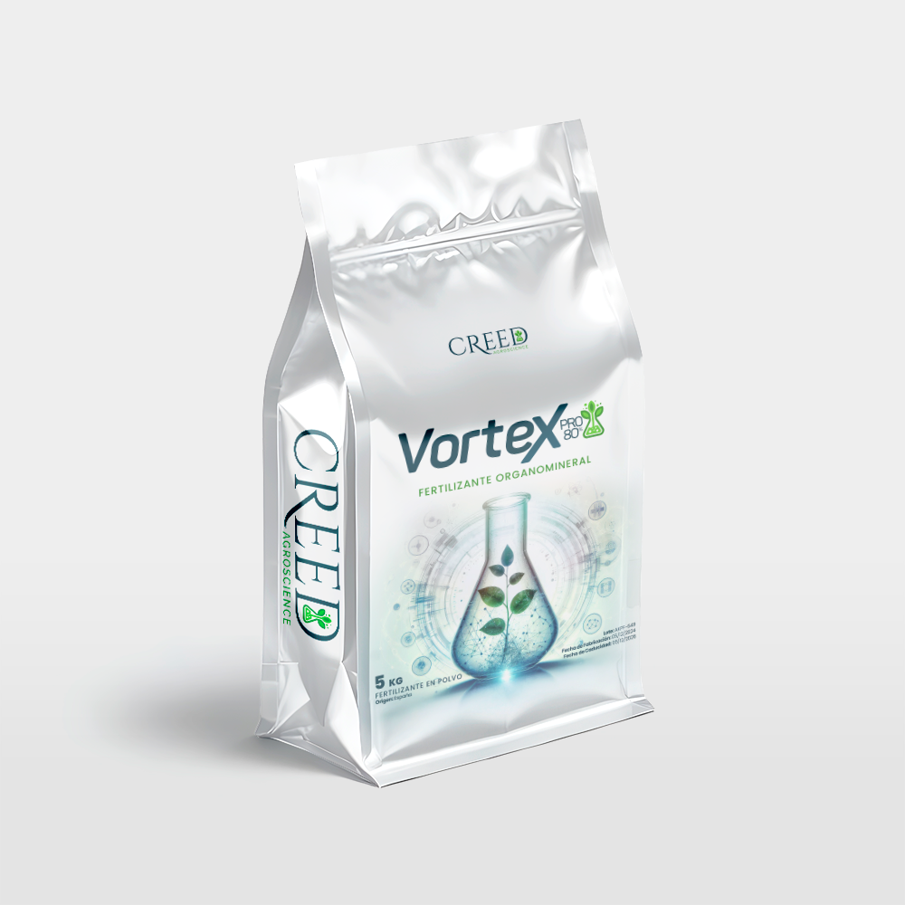 Creed – Frente VorteX 2