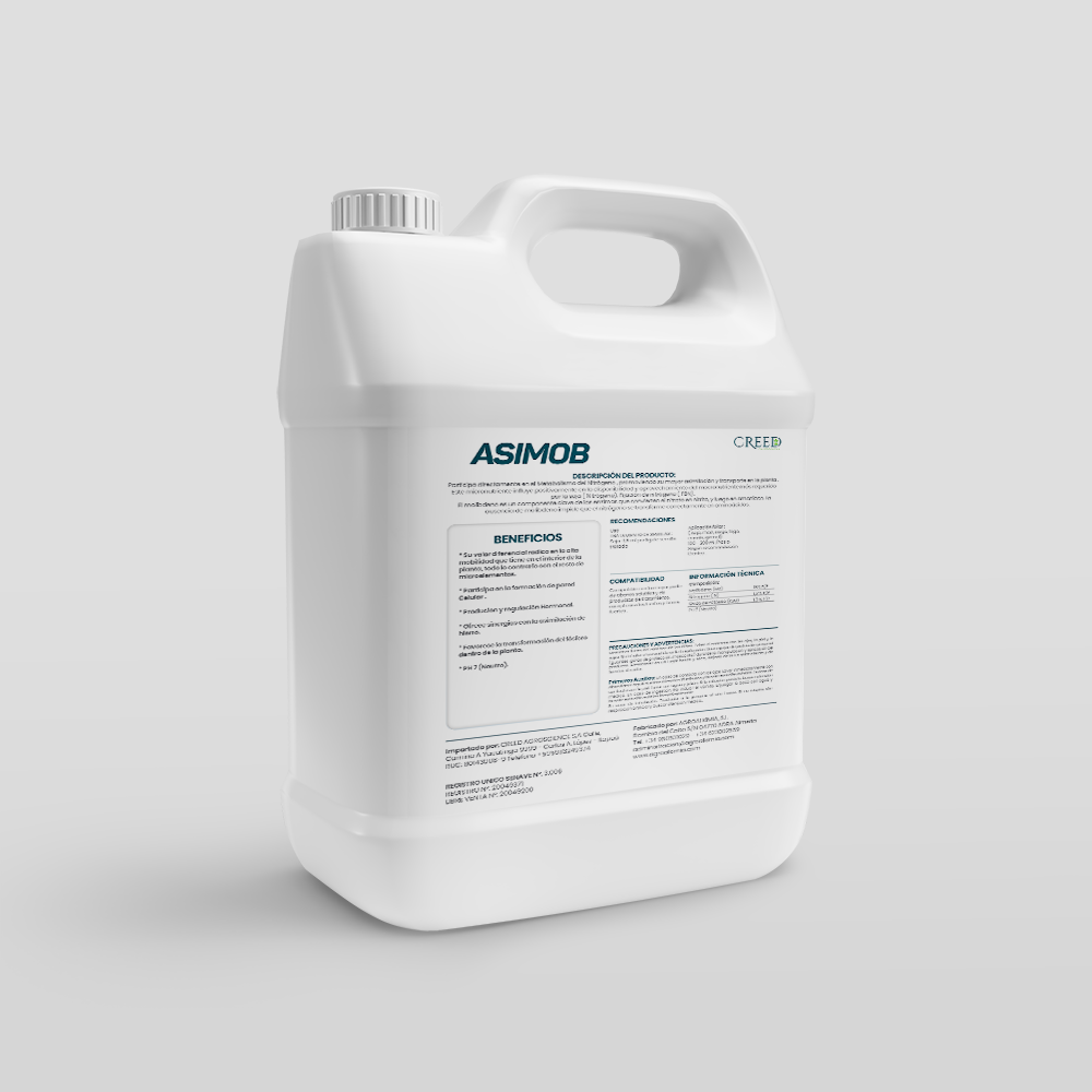 Creed – Verso Asimob 1