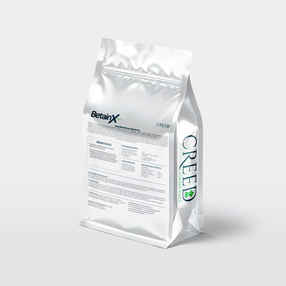 Creed – Verso BetainX 2