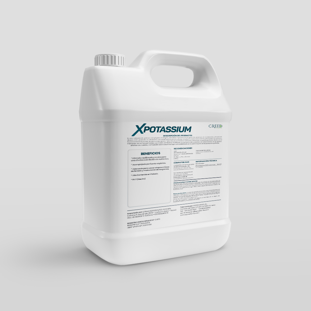 Creed – Verso Xpotassium 2